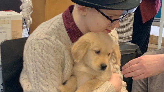 Judah's Wish to have a Puppy