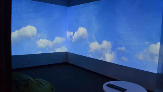 Immersion Room