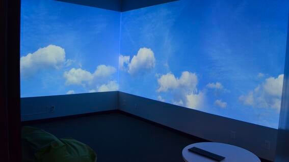 Immersion Room
