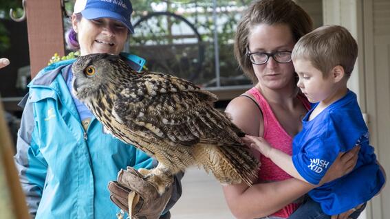 Wild Wishes - Make-A-Wish Wisconsin's 40th Birthday Party