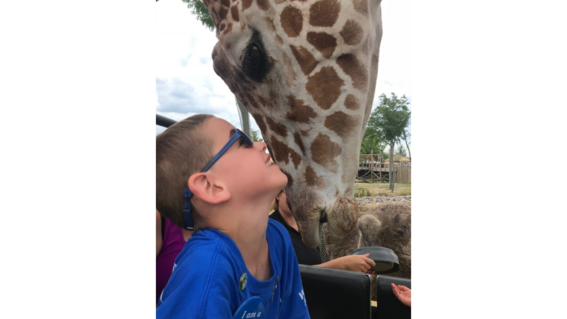 Wild Wishes - Make-A-Wish Wisconsin's 40th Birthday Party
