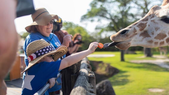 Dale Conquers the Zoo