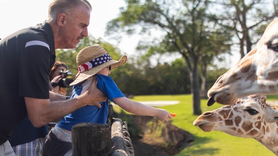 Dale Conquers the Zoo