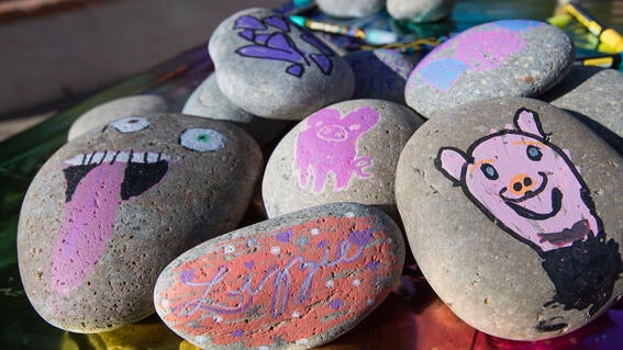 Lizzie's painted rocks_MAWSD