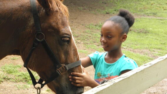 Dominique's wish