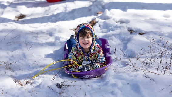 Nash laughs as he sleds down the hill.