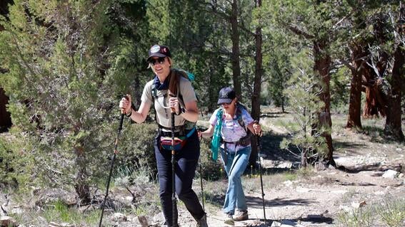 Hikers on Pacific Crest Trail