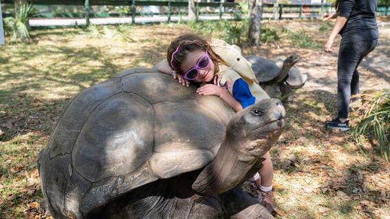 Gemma Walks on the Wild Side