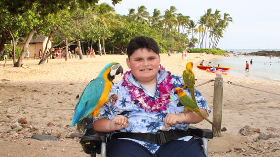 Ryan wished to go to Hawaii.