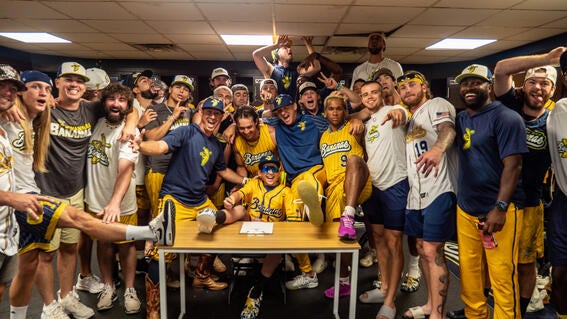 Bear and the team