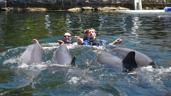 Aidan and Dolphins