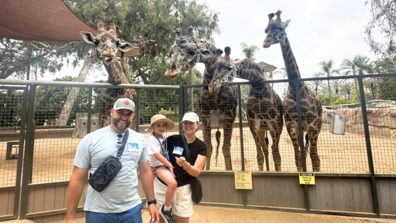 Animals at Zoo