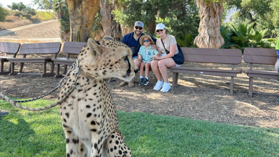 Luca's Cheeta