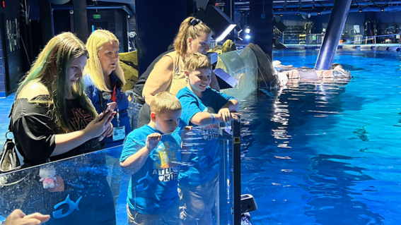 Smitty in Georgia Aquarium 