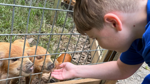 Smitty feeding animals
