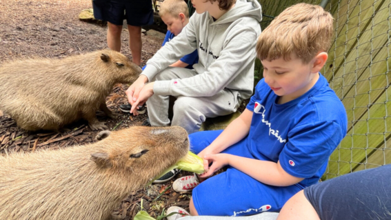 Smitty feeding animals2