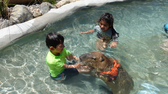 Joshua and his sister, Teresa, swimming with a capybara at Nurtured by Nature, an animal sanctuary in San Diego