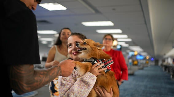 Victoria's wish to bring her dog from Colombia