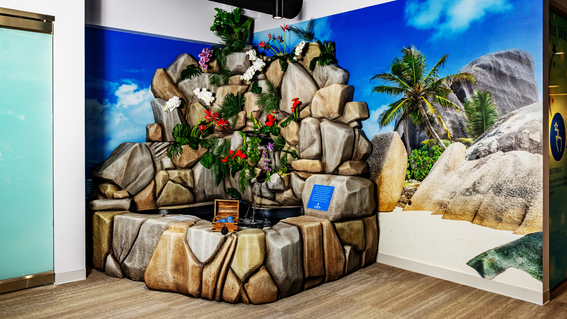 The Wishing Fountain  Supported by Scott Gray