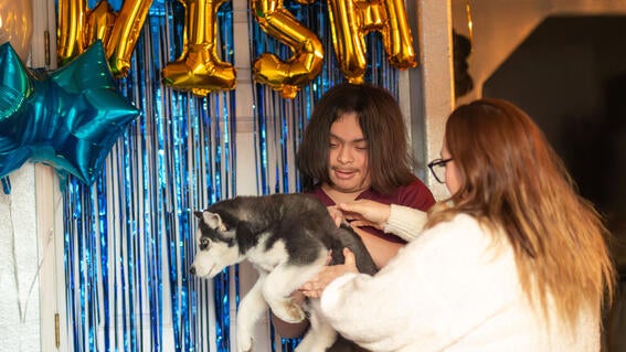 Brian meets his Husky puppy for the first time.