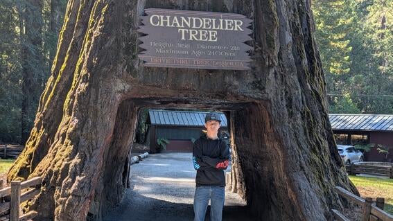 Noah stands at the base of the Chandelier Tree