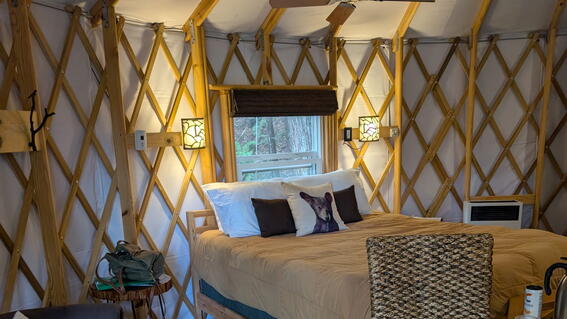 The inside of the treehouse