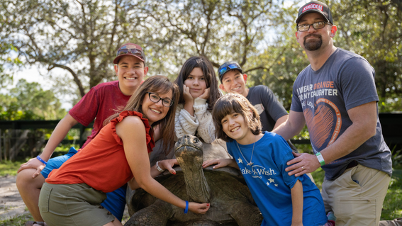 Emmy's Sloth Surprise