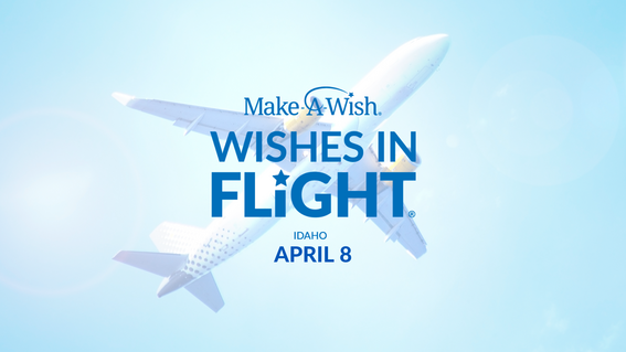 Wishes in Flight
