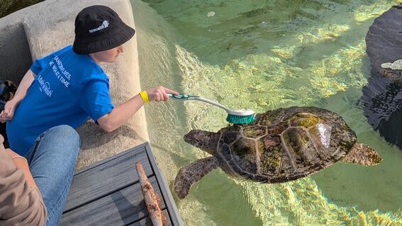 Zane with the turtle