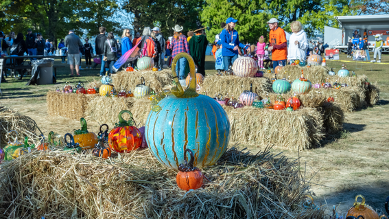 Glass Pumpkin Patch