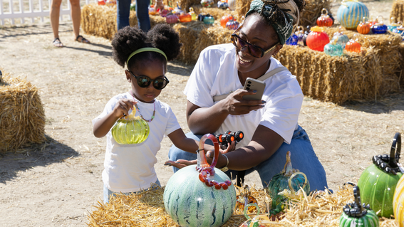Glass Pumpkin Patch