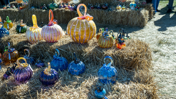 Glass Pumpkin Patch