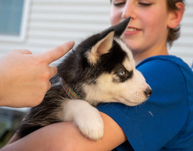 Gabby holding her new Husky puppy