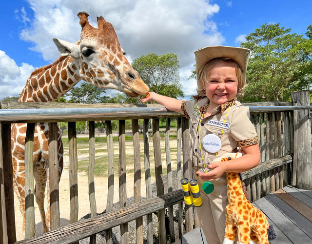 Wish kid Amelia dressed like a zookeeper feeding a giraffe