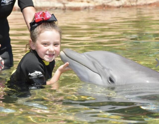 Adeline with dolphin in wet suit