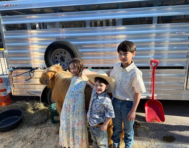 Reed- Cows with family- 2026