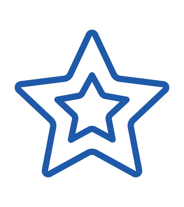 icon star 2