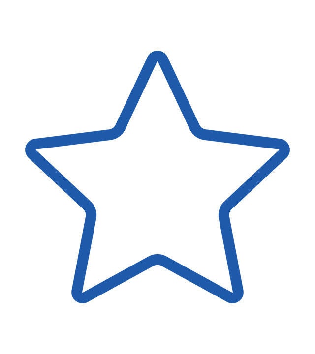 icon star