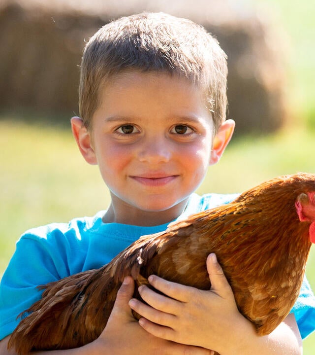 Sawyer's Wish for a Chicken Coop