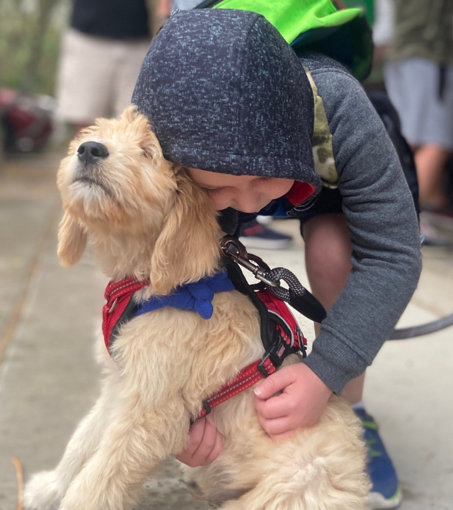 puppy hug