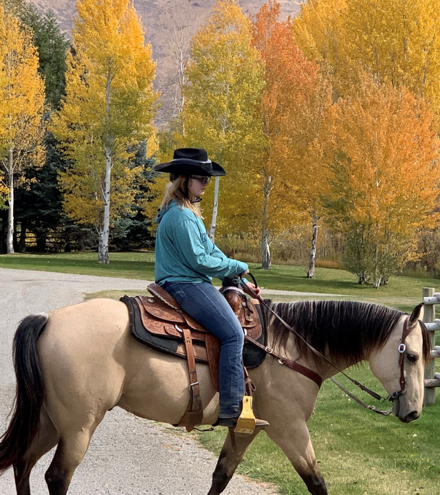 Devo_Horseback_Wish