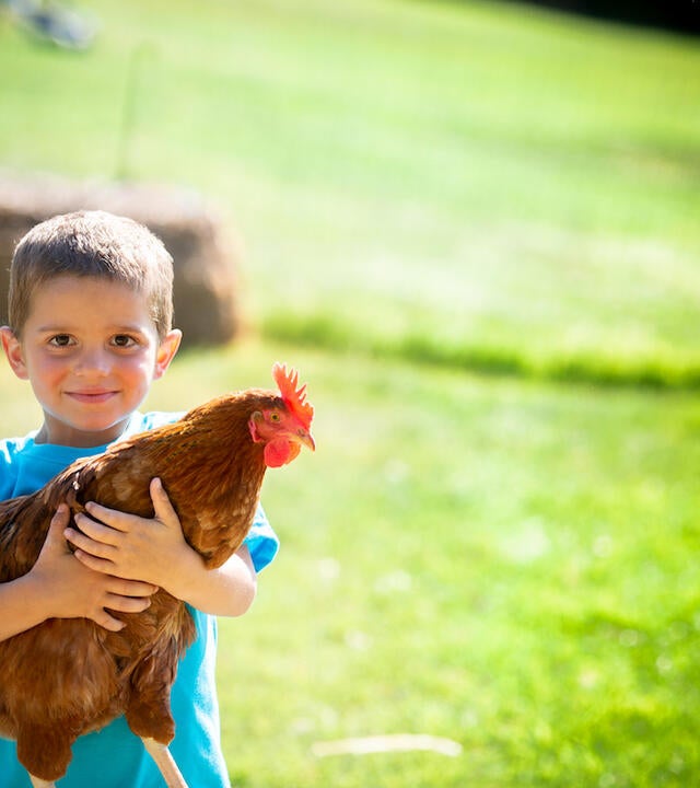 Wish kid Sawyer and Chicken