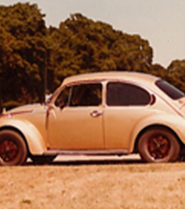 Herbie the Love Bug