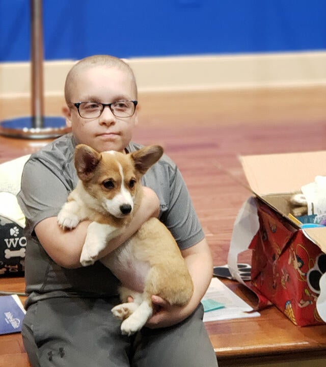 Jesse's wish to have a puppy