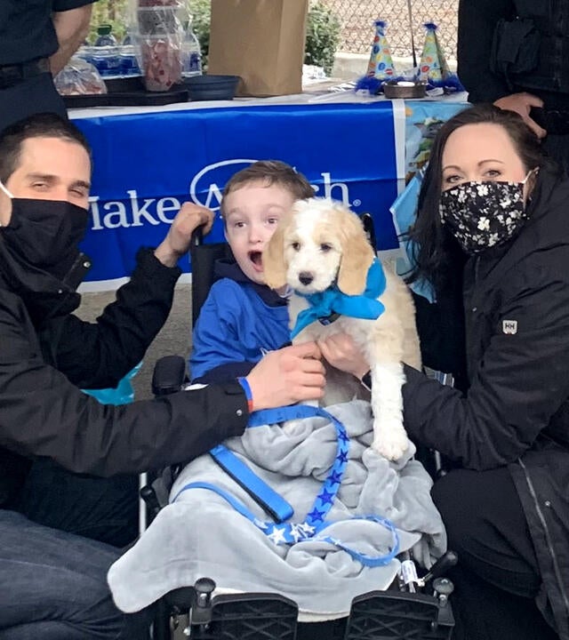 Luke_puppy_akwa
