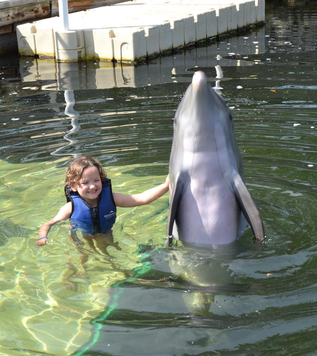 Hannah swims with dolphins