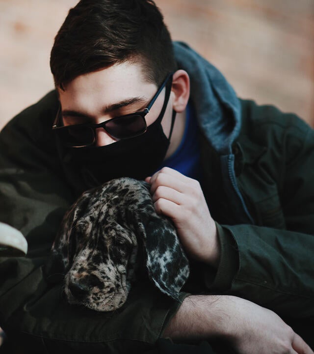 Daniel's Great Dane
