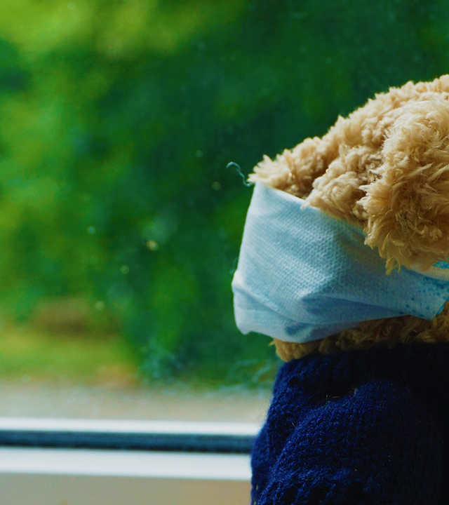 Teddy Bear looking out window