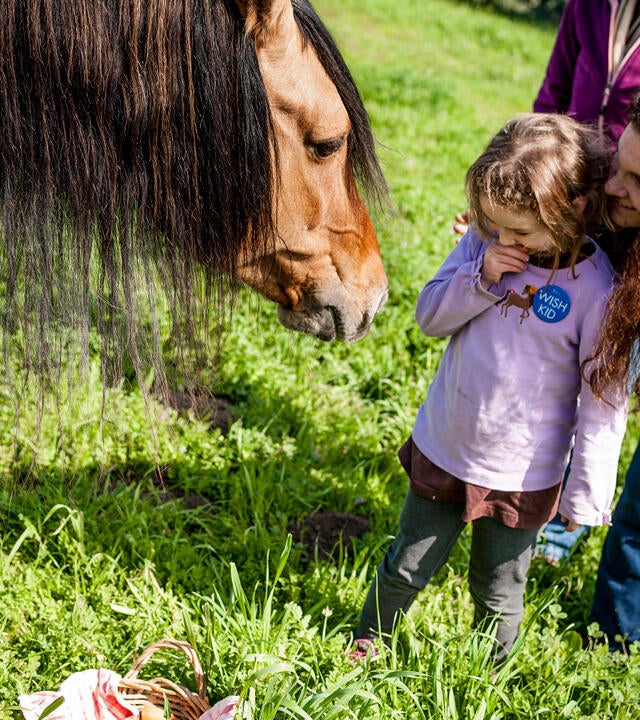 Corah's Wish to meet Spirit