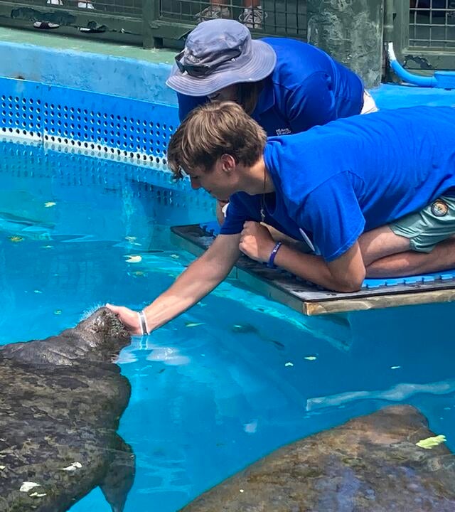 Dylan Cares For Animals